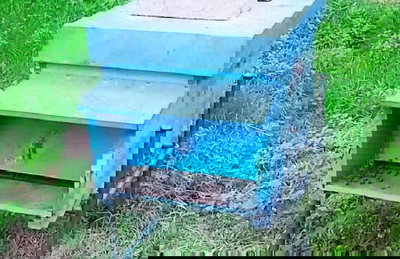 Agriturismo La Barca nel Bosco - Foto 21