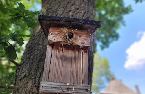 Ferienhof Schwalbennest OFC 24 - Foto 1