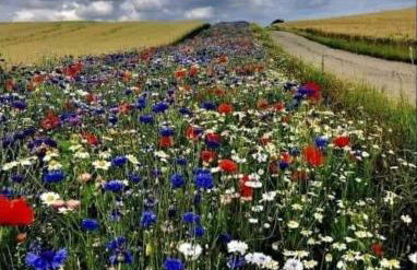 Helle Loft mit eingenem Garten - Photo 24