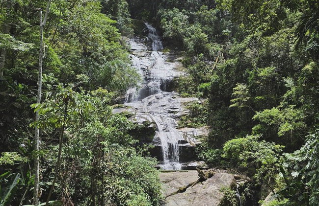 Visita guiada al bosque de Tijuca para grupos pequeños - Foto 27