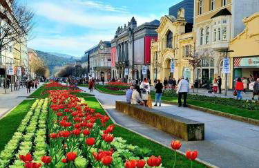 Diamante house com garagem privada - Foto 27