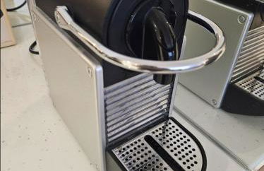 Algae n'areia - Foto 20