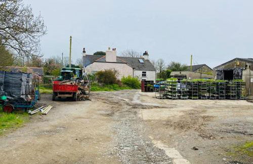 Olive's Cabin - Foto 20