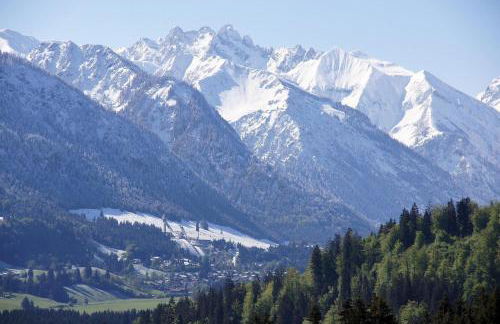Allgäuer Bergblick - Foto 16