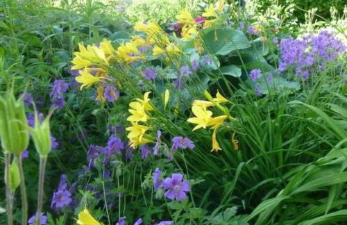 Holiday Home Buschle by Interhome - Foto 15