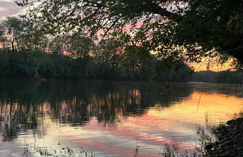 Lakeside Tiny Cozy Retreat - Photo 11