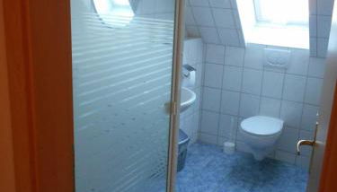 Sonnenblume - Foto 2