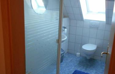 Sonnenblume - Foto 2