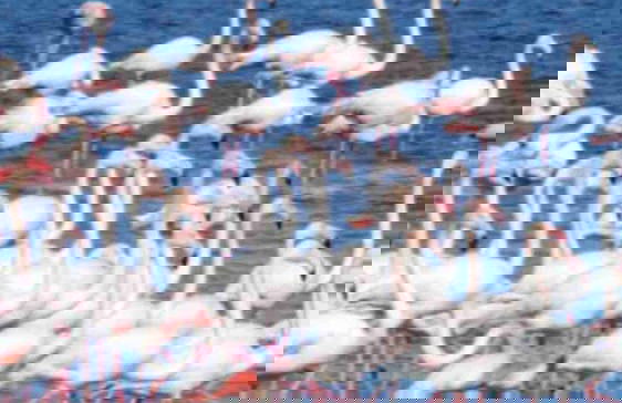 Rajana Bungalow 2 - Foto 7