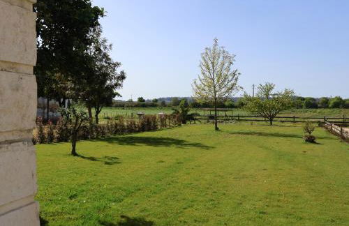 Pátio das Ribeiras - Foto 65