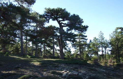 Casa Rural Cortijo El Helao - Foto 52