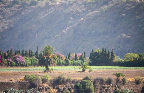 La Casita de Tafira - Foto 49