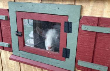 Catskills Aframe, Water View, Goat Sanctuary - Foto 33