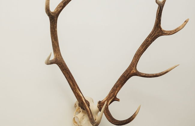 Châtelain II - Foto 53