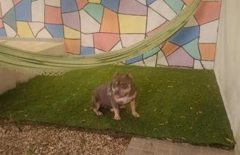 Happy House Beto Carrero - Photo 9