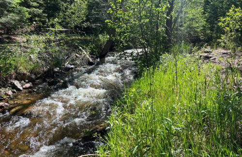 Cozy Cabin on the Creek - Foto 23