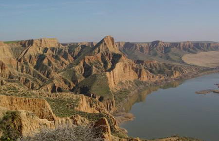 La casona de flores - Foto 17