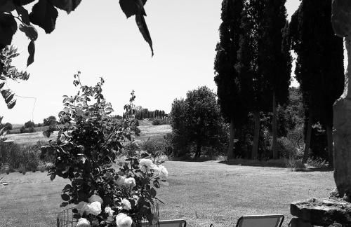 Podere Pievina Delle Corti - Dimora di Campagna - Photo 18