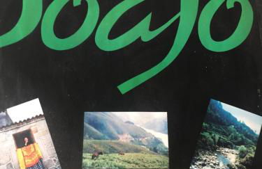 Eido de Bairros - Casa Vinha da Touça T1 - Foto 2