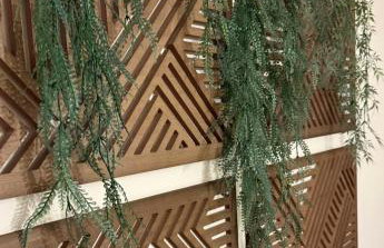 Gîte Bagatelle l'Ecrin du Ried PROCHE EUROPAPARK - Foto 27