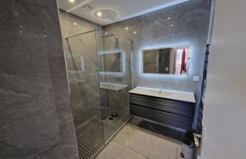 Appartement le ara - Foto 11