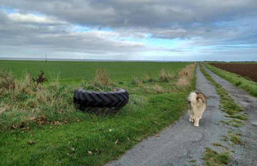 Redhouse Farm Cottage the most dog friendly place Ive ever stayed - Foto 9