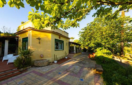 Sicily Authentic Cottage, Outdoor Hot Tub & Century-Old Olive Park, Donna Caterina House - Foto 47