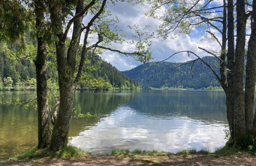 Le Perchoir, Gîte 7 personnes, Le Grand Valtin - Foto 38