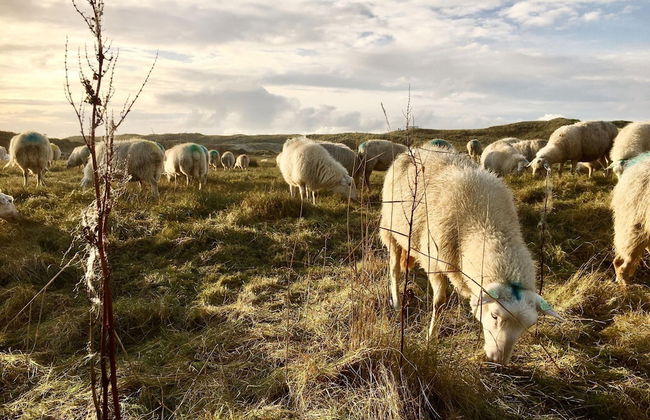 Relax Cozy Dirkshorn Stay - Photo 24