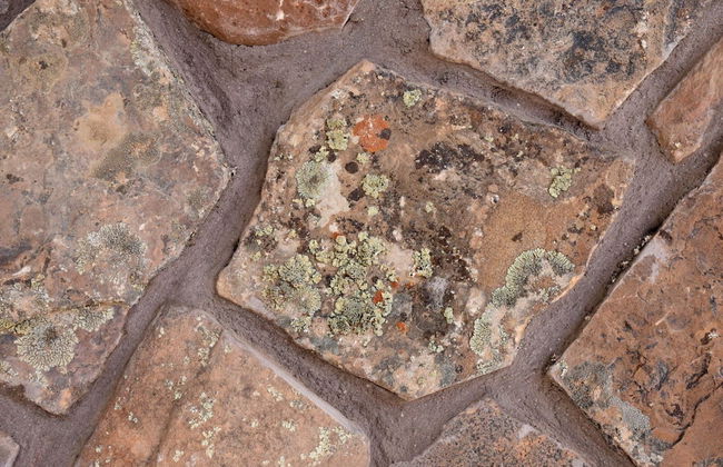 Zion's Camp and Cottages - Photo 53