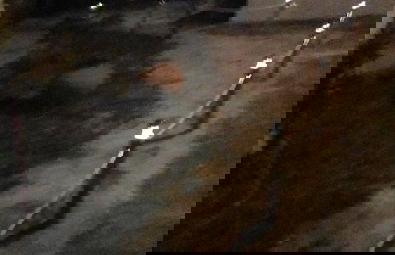 Visitar Bioucas II - Casa Tradicional Portuguesa - Foto 34