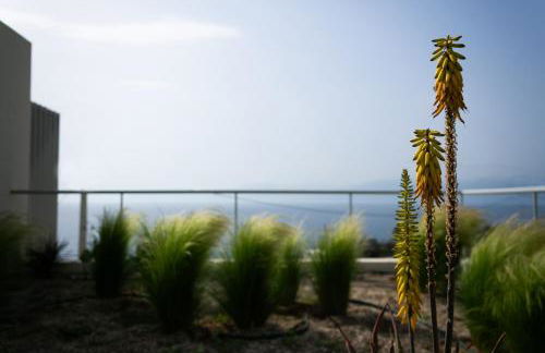 Physis Fokida - Foto 14