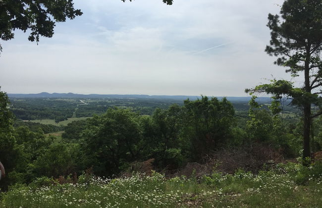 Cherokee mountain log cabin resort - Foto 80