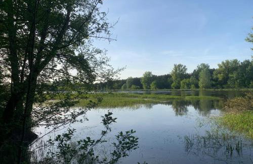 Dom z linią brzegową Narwi - Photo 35