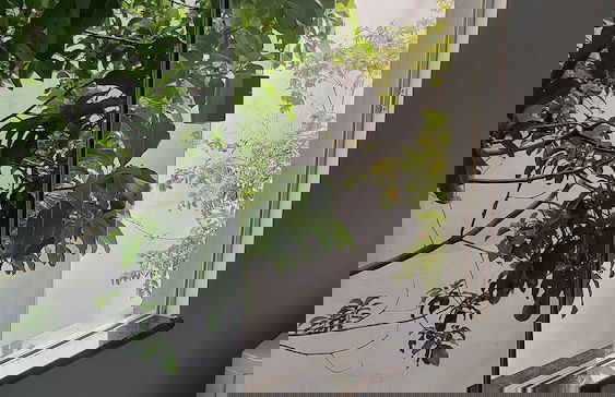 Lindo APT inteiro mt perto da praia Peró - Foto 43