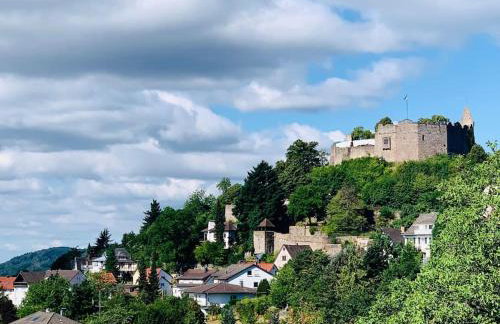 Nibelungen 4 Zimmer Apartment - Foto 51