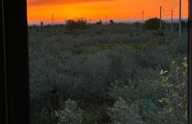 Casa amunì - Foto 24