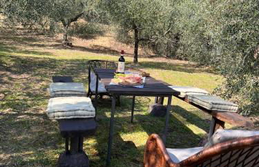 Scorcio d'Infinito di Peccioli - Foto 11