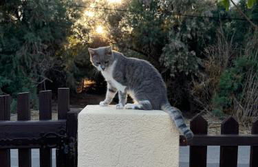 Golden Horizon Retreat, tranquil atmosphere next to the sea! - Photo 32