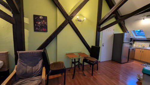 Grand Studio Climatisé en combles à 2 pas de la gare de NANCY - Foto 5