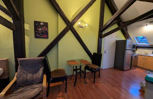 Grand Studio Climatisé en combles à 2 pas de la gare de NANCY - Foto 5