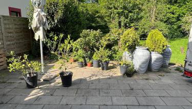 JustlikeHome-Zentral mit Garten - Foto 4, Garden