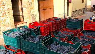 La Ginestra - Altana - Foto 5