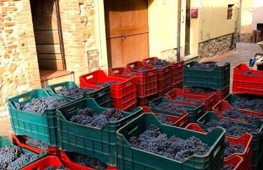 La Ginestra - Altana - Foto 5