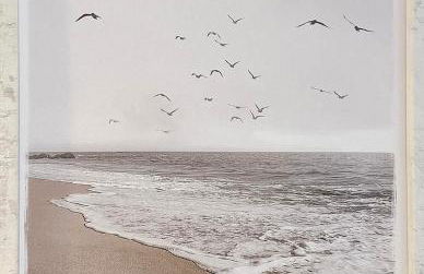 Haus Anholt - Foto 48