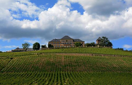 Auszeit Rheingauer Rosengasse - Photo 36