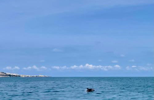 Novecento Country House - Foto 45