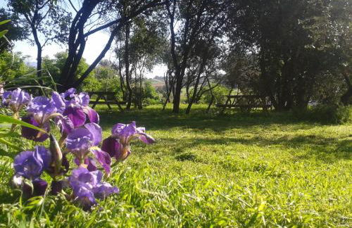 Mas Cabrit - Foto 25