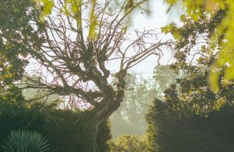 Bordeaux, Gironde, Océan - Gîte au coeur des vignes - Foto 16