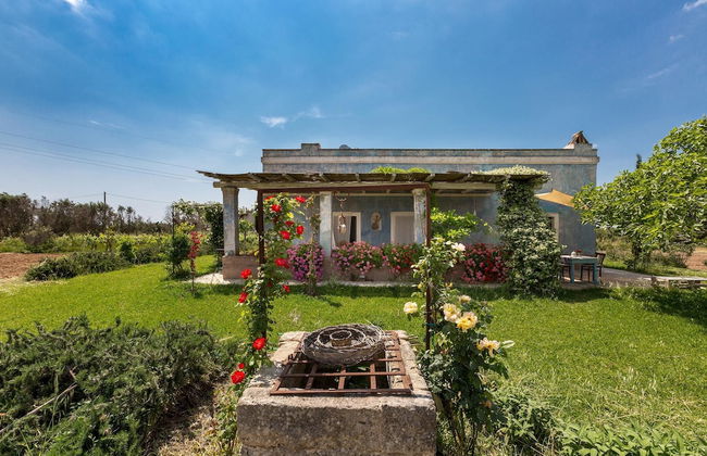 Le Cernicole - Foto 22